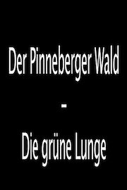 Der Pinneberger Wald - Die grüne Lunge