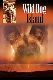 Wild Dog Island