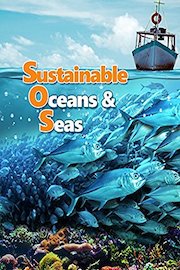 Sustainable Oceans & Seas