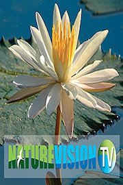 Sky Paintings by NatureVision TV