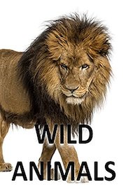 Wild Animals - Beautiful Creatures