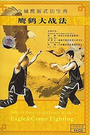 Eagle vs White Crane Kung Fu