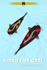 Video for Cats Catching Koi Fish