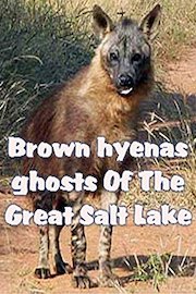 Brown hyenas ghosts Of The Great Salt Lake