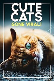 Cute Cats Gone Viral!