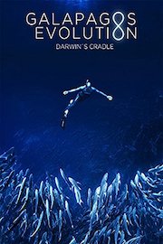 Galapagos Evolution