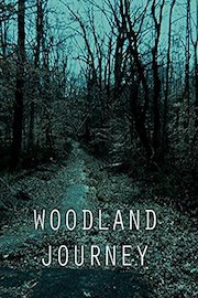Woodland Journey
