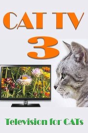 Cat TV 3 - Television for Cats