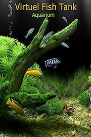 Virtual Aquarium - Fish Tank