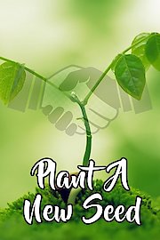 Plant a New Seed