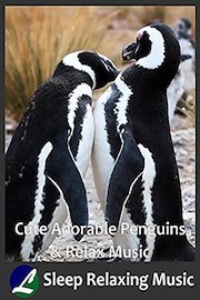 Cute Adorable Penguins & Relax Music - Sleep Relaxing Music