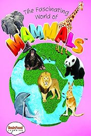 The Fascinating World of Mammals