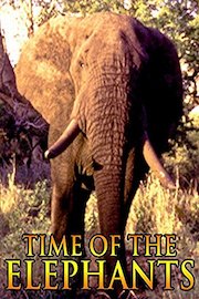 Time of the Elephants