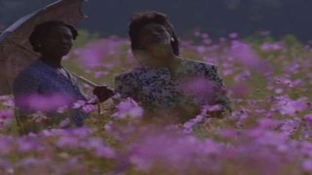 Watch The Color Purple Online - Full Movie from 1985 - Yidio