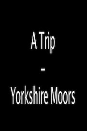 A Trip - Yorkshire Moors