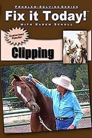 Fix it Today! Clipping