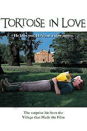Tortoise in Love