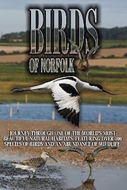 Birds Of Norfolk: A Bird Watchers Dream