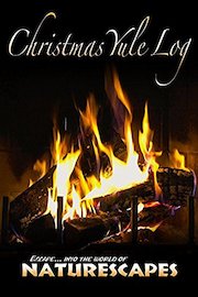 Christmas Yule Log - Naturescapes