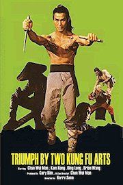 Triumph By Two Kung Fu Arts