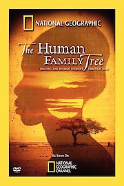 Human Family Tree