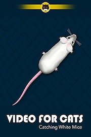 Video for Cats Catching White Mice