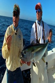 Addictive Fishing - Relentless Fog