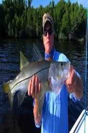 Addictive Fishing - Sweetwater Snook