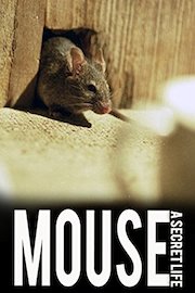 Mouse: A Secret Life