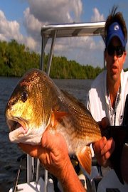 Addictive Fishing - Cork Poppin' Daddy