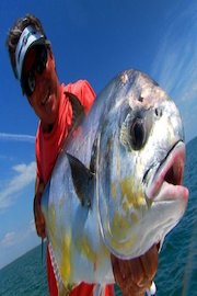 Addictive Fishing - Season Finale