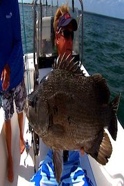 Addictive Fishing - TripleTales