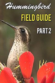 Hummingbird Field Guide Part 2