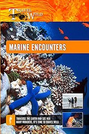Travel Wild - Marine Encounters