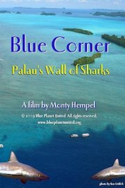 Blue Corner: Palau's Wall of Sharks