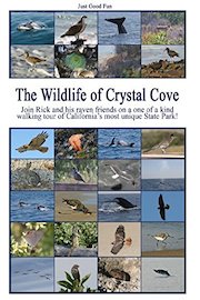 The Wildlife of Crystal Cove Movie