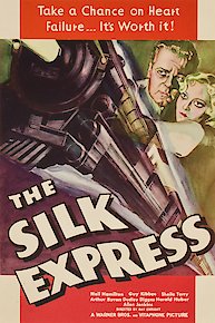 The Silk Express