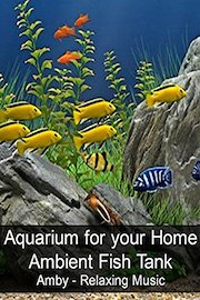 Aquarium for your Home - Ambient Fish Tank - Amby - Relaxing Music