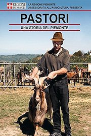 Pastori