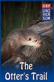 The Otter's Trail