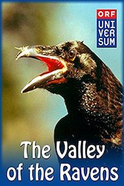 The Valley of the Ravens