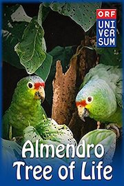 Almendro - Tree of Life