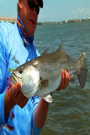 Addictive Fishing - Treasure Trout