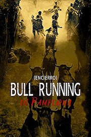 Bull Running in Pamplona