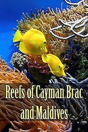 Reefs of Cayman Brac and Maldives