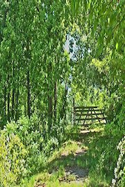 A Path Less Taken: From Ministry To Non-Belief And Beyond