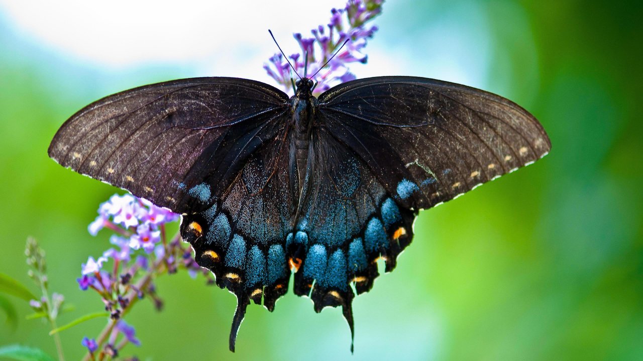 2000 Miles to Maine: Adventures on the Appalachian Trail