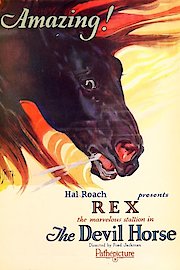Rex the Devil Horse