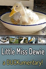Little Miss Dewie: a Duckumentary