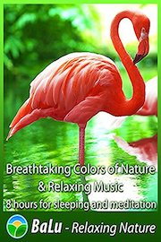 Breathtaking Colors of Nature & Relaxing Music - 8 hours for sleeping and meditation